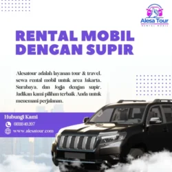 Rental Mobil dengan Supir